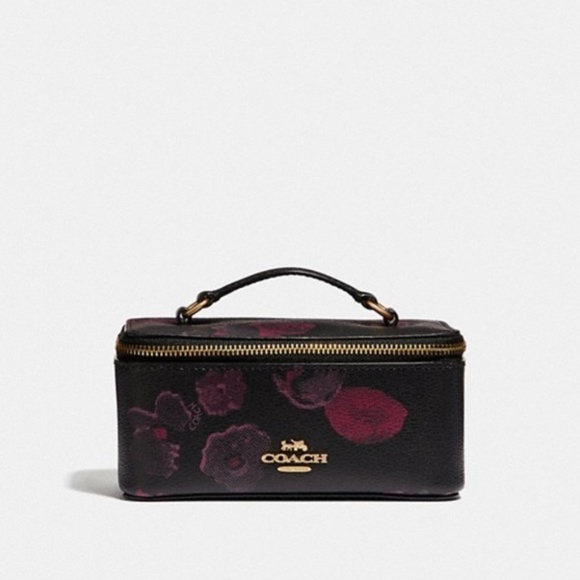 coach Handbags - Coach F38638 Cosmetic Jewelry Vanity Case Leather